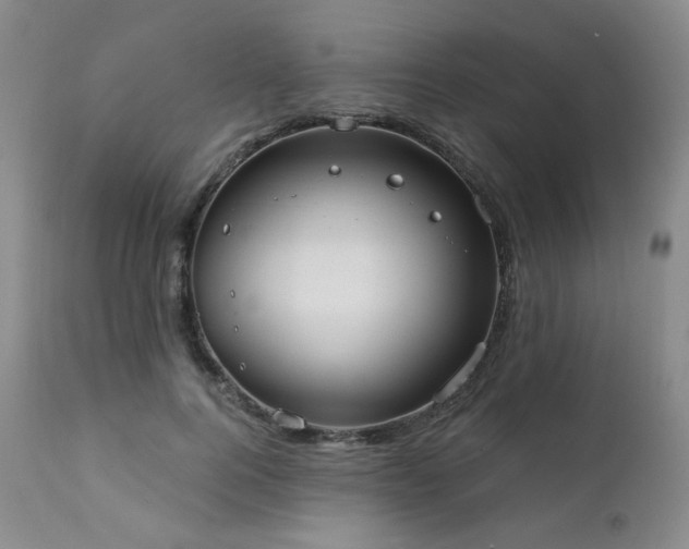X0000111440744200907131305