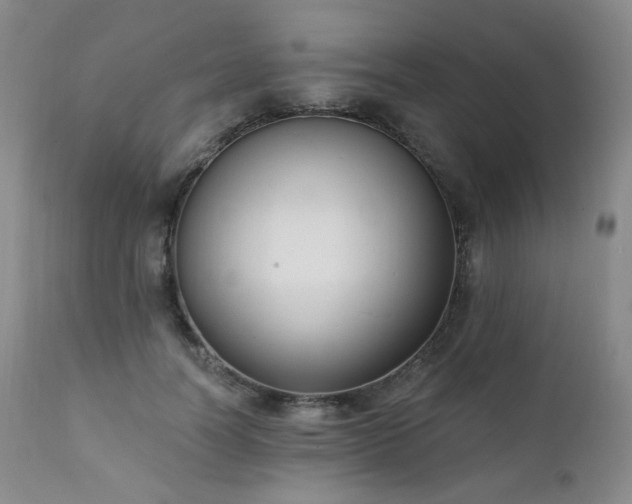 X0000111440746200907131305