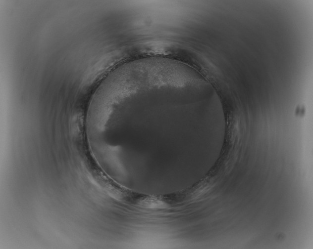 X0000111440747200907131305
