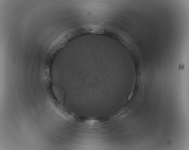 X0000111440748200907131305