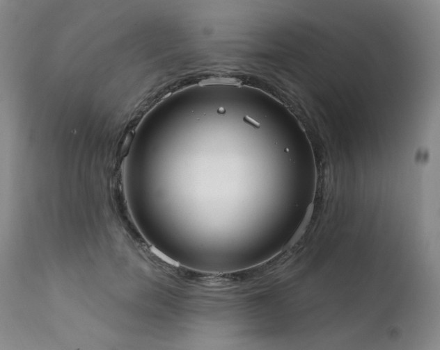 X0000111440750200907131305