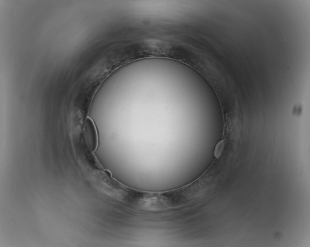 X0000111440752200907131305