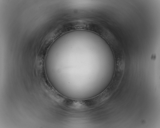 X0000111440753200907131305
