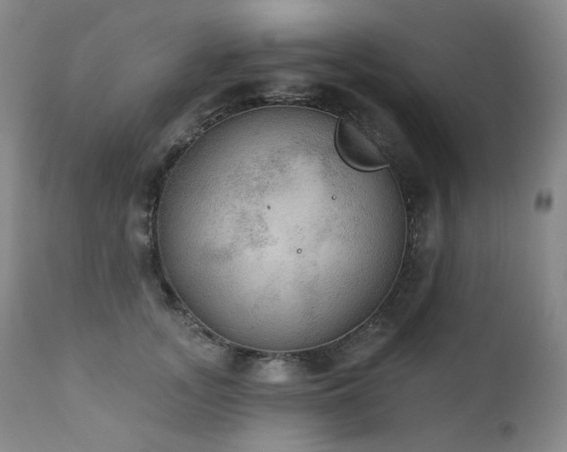 X0000111440755200907131305