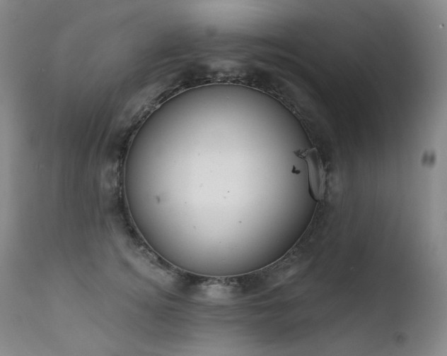 X0000111440756200907131305
