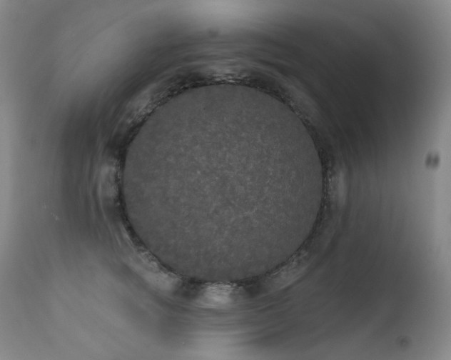 X0000111440757200907131305