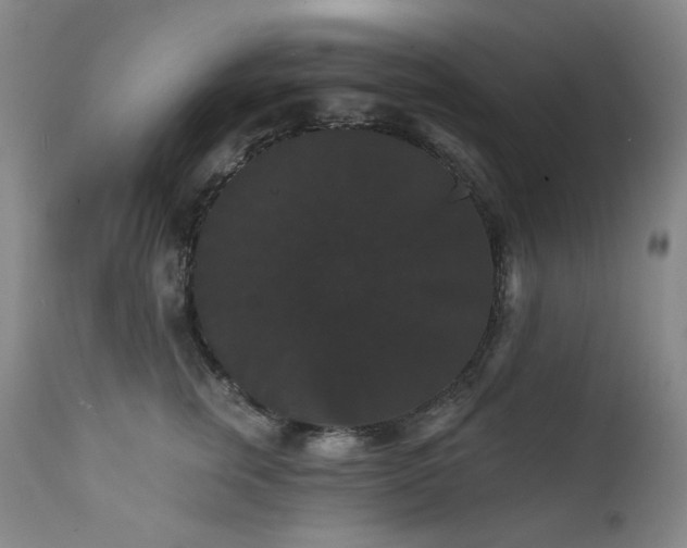 X0000111440759200907131305