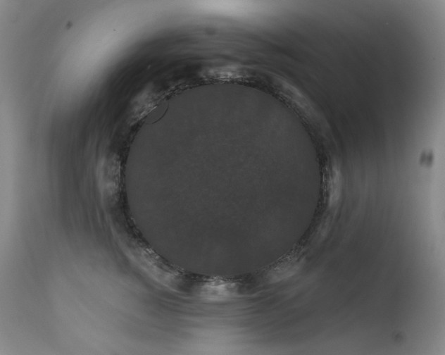 X0000111440760200907131305