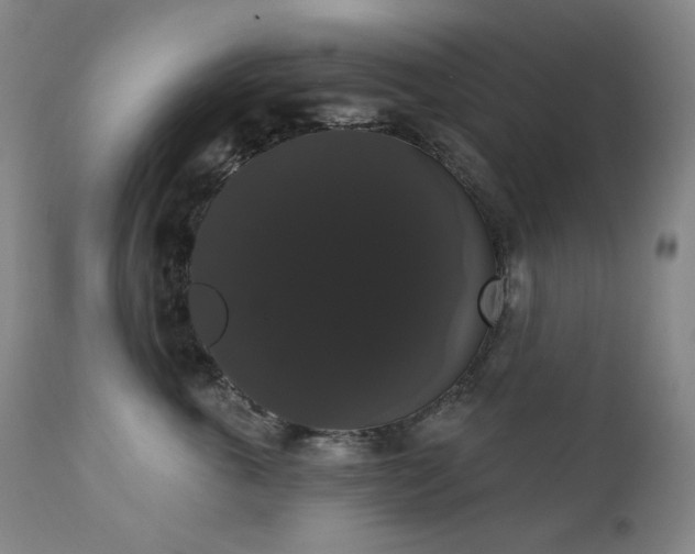 X0000111440763200907131305