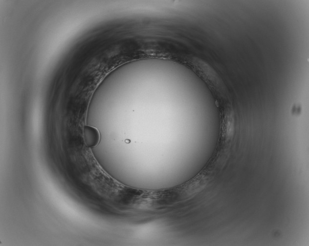 X0000111440764200907131305