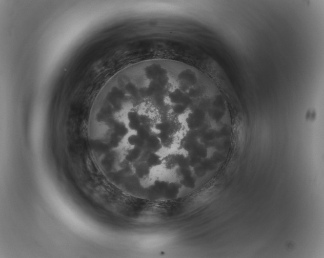 X0000111440765200907131305