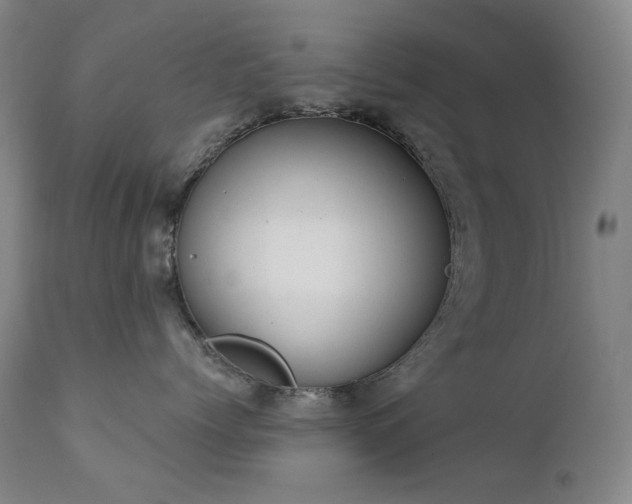 X0000111440768200907131305