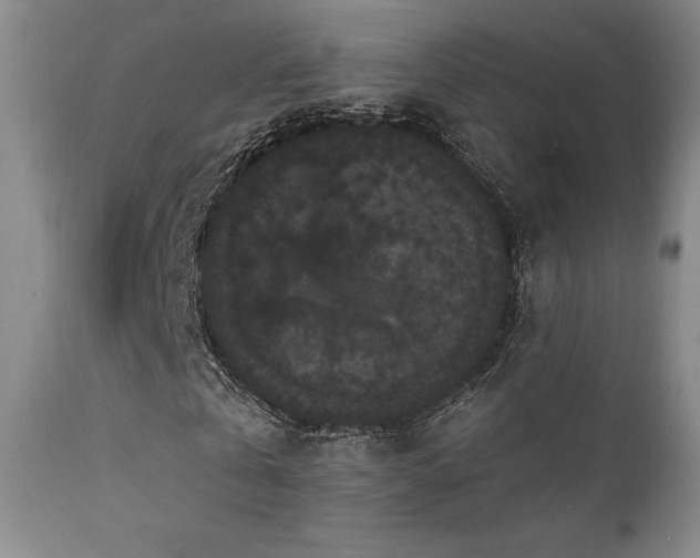 X0000111440769200907131304
