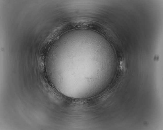 X0000111440771200907131304