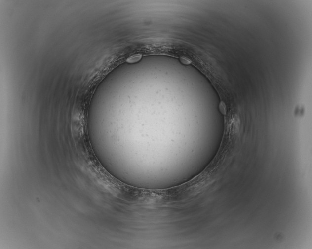 X0000111440772200907131304