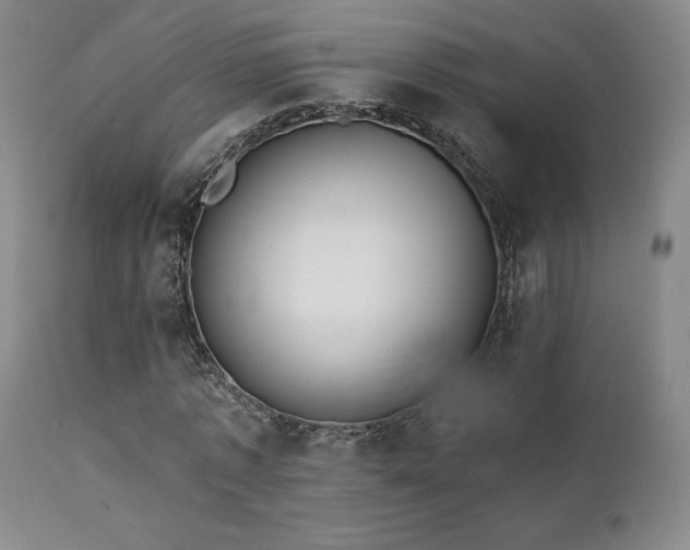X0000111440773200907131304