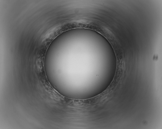 X0000111440774200907131304