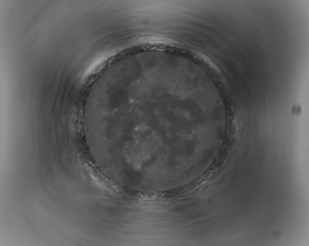 X0000111440775200907131304