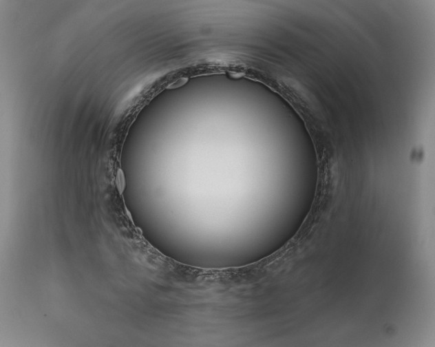 X0000111440776200907131304