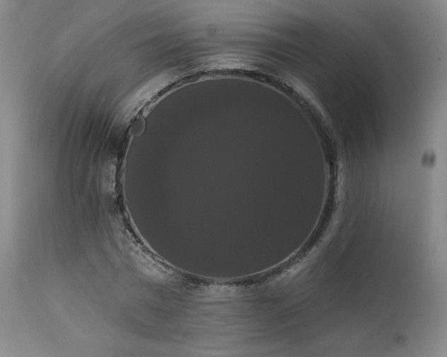 X0000111440777200907131304