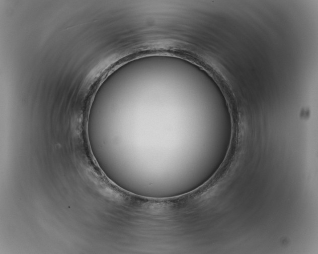 X0000111440778200907131304