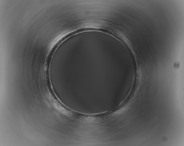 X0000111440779200907131304