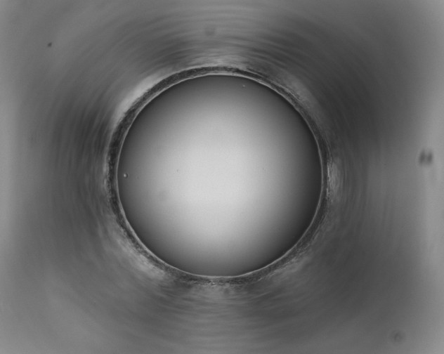 X0000111440780200907131304