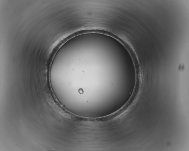 X0000111440781200907131304
