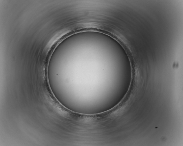 X0000111440782200907131304