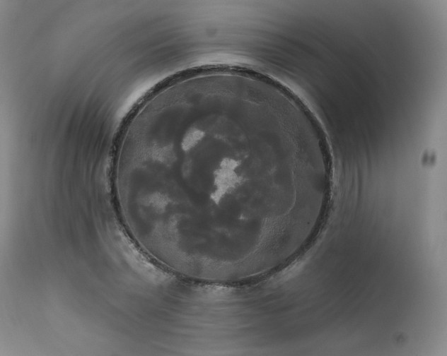 X0000111440783200907131304
