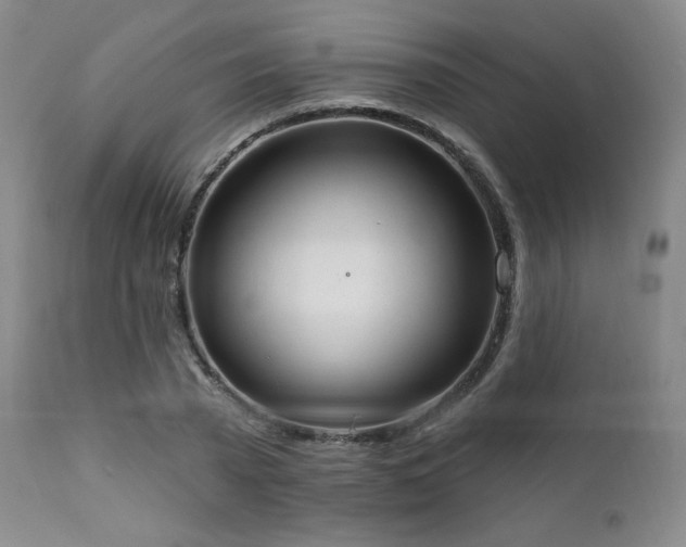 X0000111440785200907131304