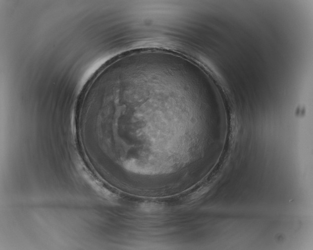 X0000111440788200907131304