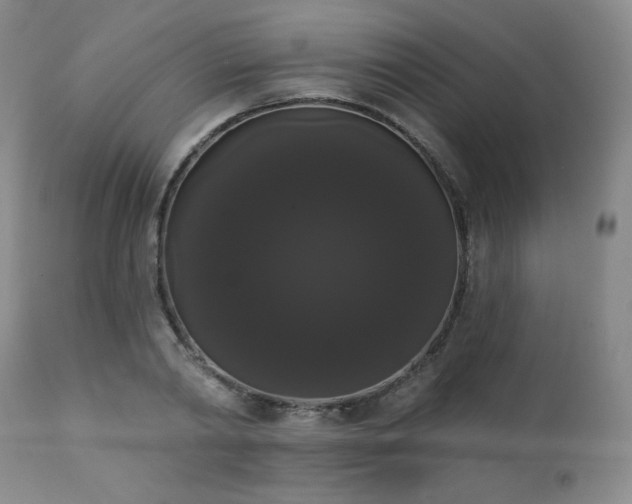 X0000111440790200907131304