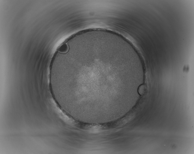 X0000111440791200907131304