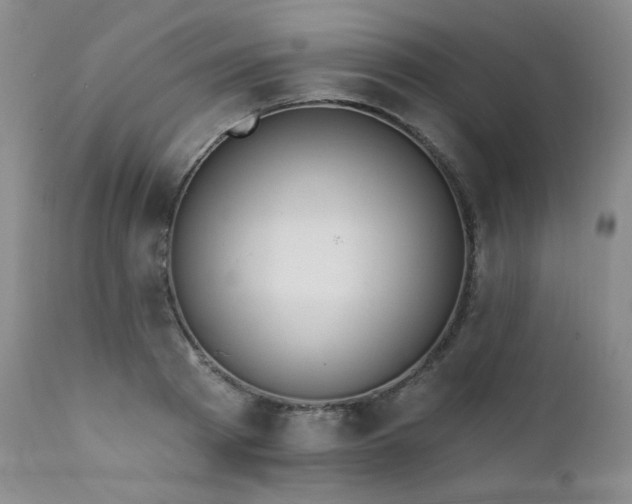 X0000111440793200907131304