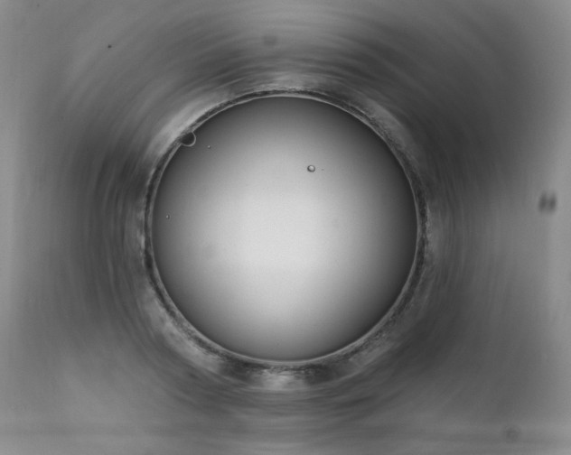 X0000111440794200907131304