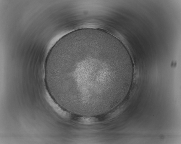 X0000111440795200907131304