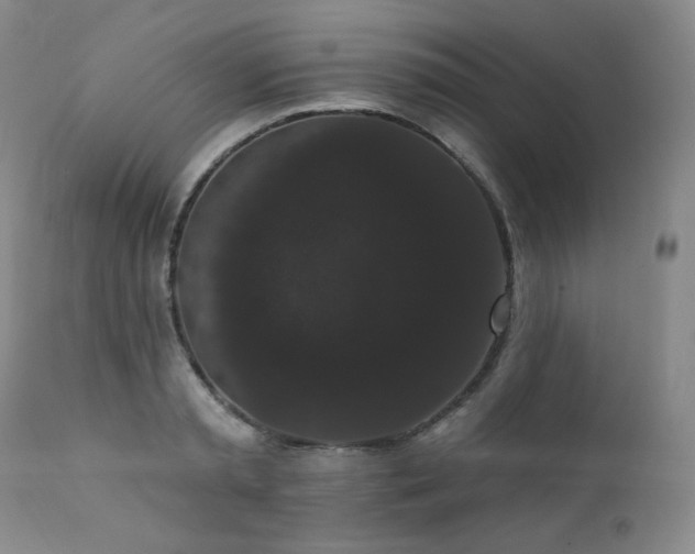 X0000111440797200907131304