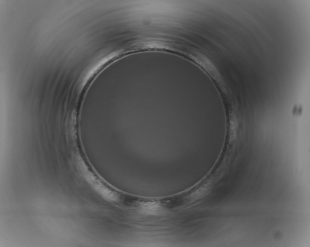 X0000111440798200907131304