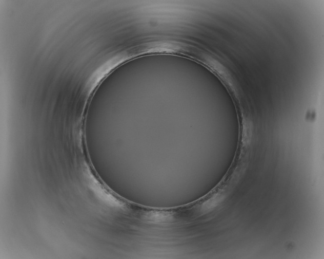 X0000111440802200907131304