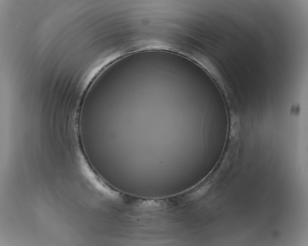 X0000111440806200907131304