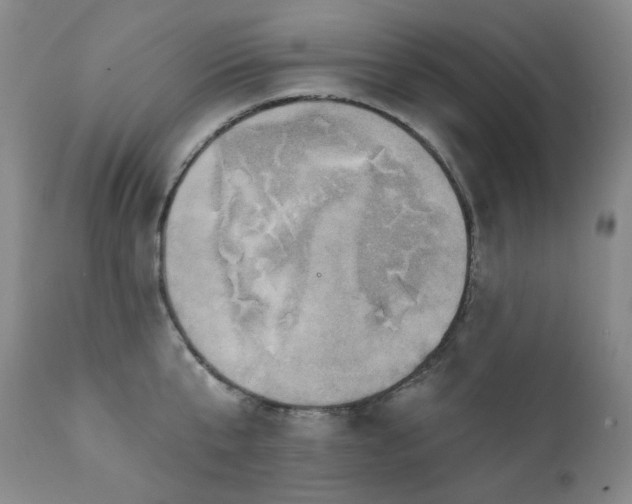 X0000111440807200907131304