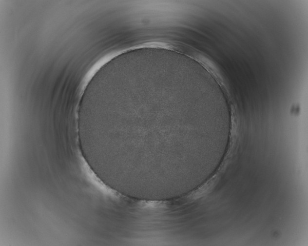X0000111440808200907131304