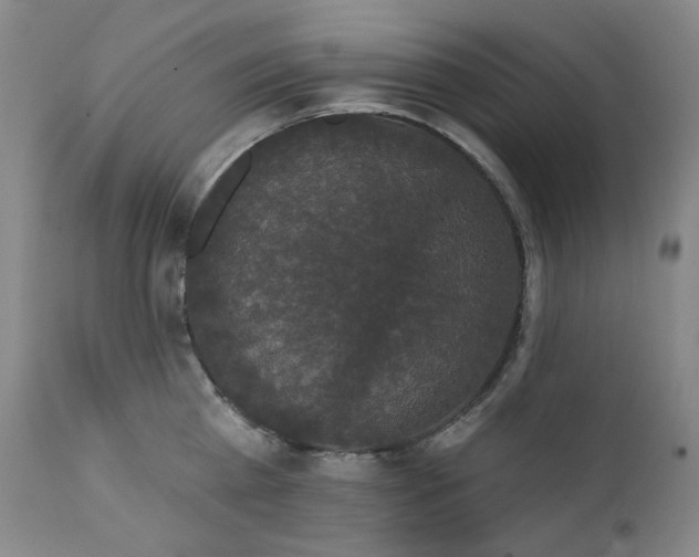 X0000111440809200907131304