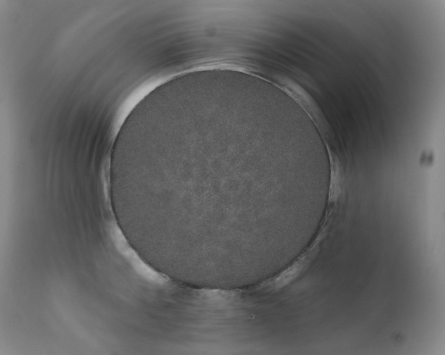 X0000111440812200907131303