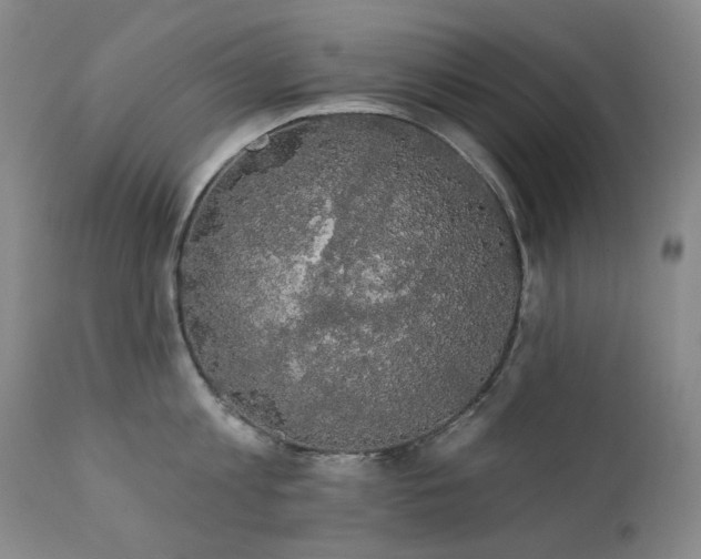 X0000111440813200907131303