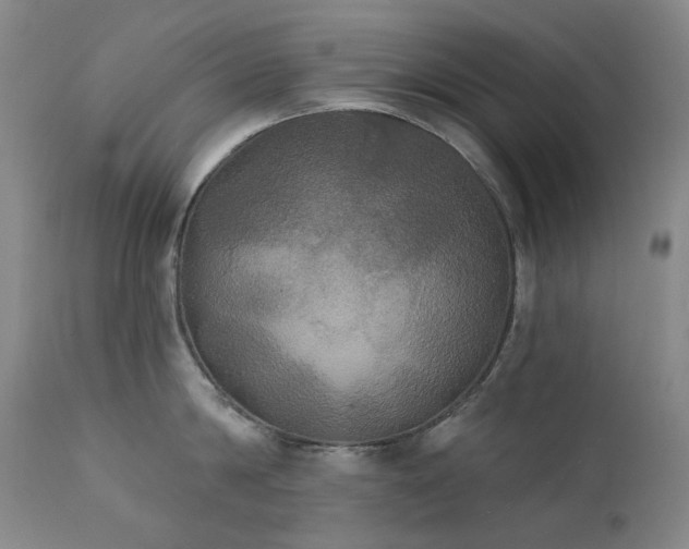 X0000111440814200907131303