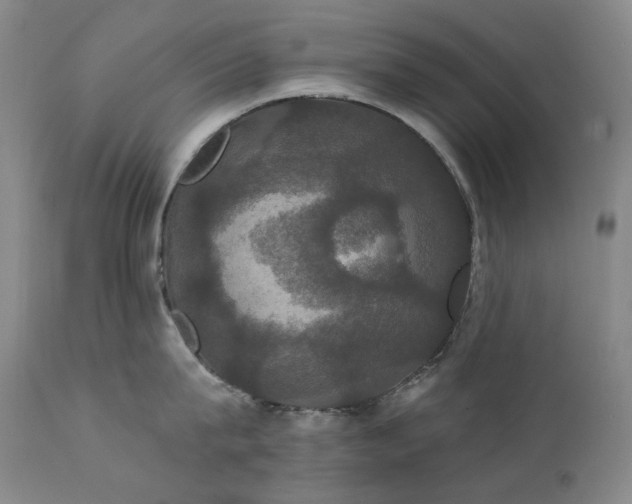 X0000111440815200907131303
