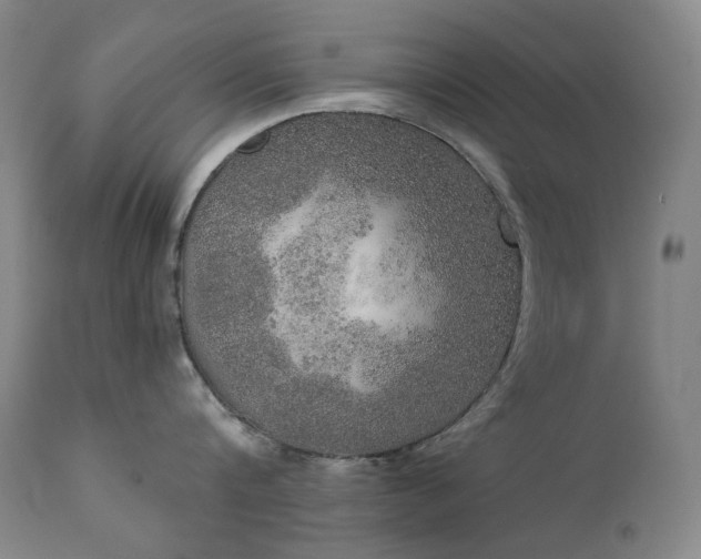 X0000111440816200907131303