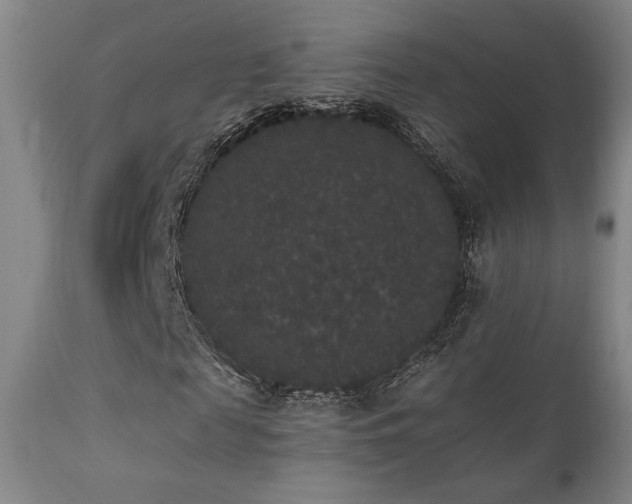X0000111440817200907131303